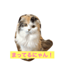 happy's dairy life two（個別スタンプ：4）