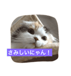 happy's dairy life two（個別スタンプ：7）