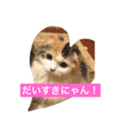 happy's dairy life two（個別スタンプ：8）