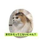 happy's dairy life two（個別スタンプ：9）