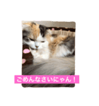 happy's dairy life two（個別スタンプ：10）