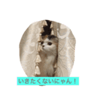 happy's dairy life two（個別スタンプ：13）