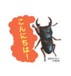クワガタ＆かぶと虫スタンプ（個別スタンプ：3）
