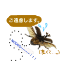 クワガタ＆かぶと虫スタンプ（個別スタンプ：9）