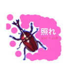 クワガタ＆かぶと虫スタンプ（個別スタンプ：14）