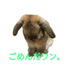 ワンコになりたいうさぎ 1（個別スタンプ：3）