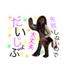 naomsan...3（個別スタンプ：5）