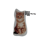 yes Is（個別スタンプ：2）