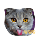 yes Is（個別スタンプ：8）