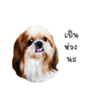 Khunnay Ju（個別スタンプ：1）