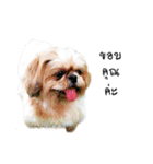 Khunnay Ju（個別スタンプ：2）