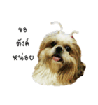 Khunnay Ju（個別スタンプ：4）