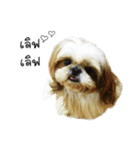 Khunnay Ju（個別スタンプ：6）