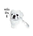 Khunnay Ju（個別スタンプ：8）
