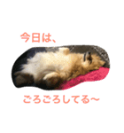 イヴらにあん（個別スタンプ：14）