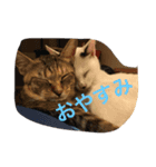 あいさつ文（個別スタンプ：1）