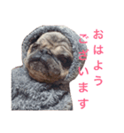 CHACHA！！！！！！（個別スタンプ：1）