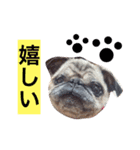 CHACHA！！！！！！（個別スタンプ：2）