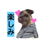 CHACHA！！！！！！（個別スタンプ：3）