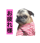 CHACHA！！！！！！（個別スタンプ：4）