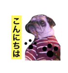 CHACHA！！！！！！（個別スタンプ：5）
