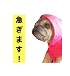 CHACHA！！！！！！（個別スタンプ：7）
