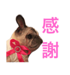 CHACHA！！！！！！（個別スタンプ：9）