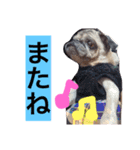 CHACHA！！！！！！（個別スタンプ：10）