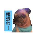 CHACHA！！！！！！（個別スタンプ：13）