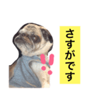 CHACHA！！！！！！（個別スタンプ：14）