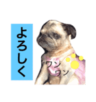 CHACHA！！！！！！（個別スタンプ：15）