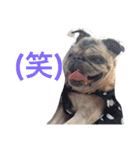 CHACHA！！！！！！（個別スタンプ：16）