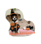 season'（個別スタンプ：1）