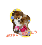 season'（個別スタンプ：9）