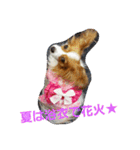 season'（個別スタンプ：14）