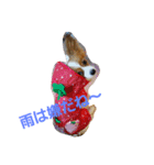 season'（個別スタンプ：16）