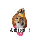 ラスティーとメイ（個別スタンプ：5）