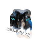 ラスティーとメイ（個別スタンプ：6）