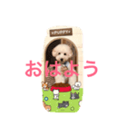 マルみゆりん（個別スタンプ：1）