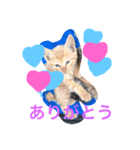 マルみゆりん（個別スタンプ：7）