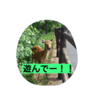 生活便利スタンプ（個別スタンプ：5）