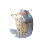 生活便利スタンプ（個別スタンプ：7）