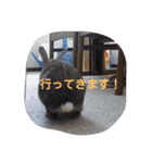 生活便利スタンプ（個別スタンプ：14）