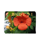 生活便利スタンプ（個別スタンプ：16）