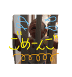 だじゃれ挨拶（個別スタンプ：21）