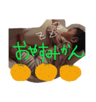 だじゃれ挨拶（個別スタンプ：23）