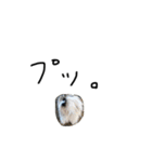 Yet I am SORA II（個別スタンプ：17）