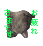 tama britishshorthair 2（個別スタンプ：3）