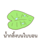 Thai proverb everyday useful（個別スタンプ：20）