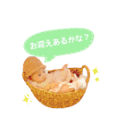みはるスタンプ（個別スタンプ：2）